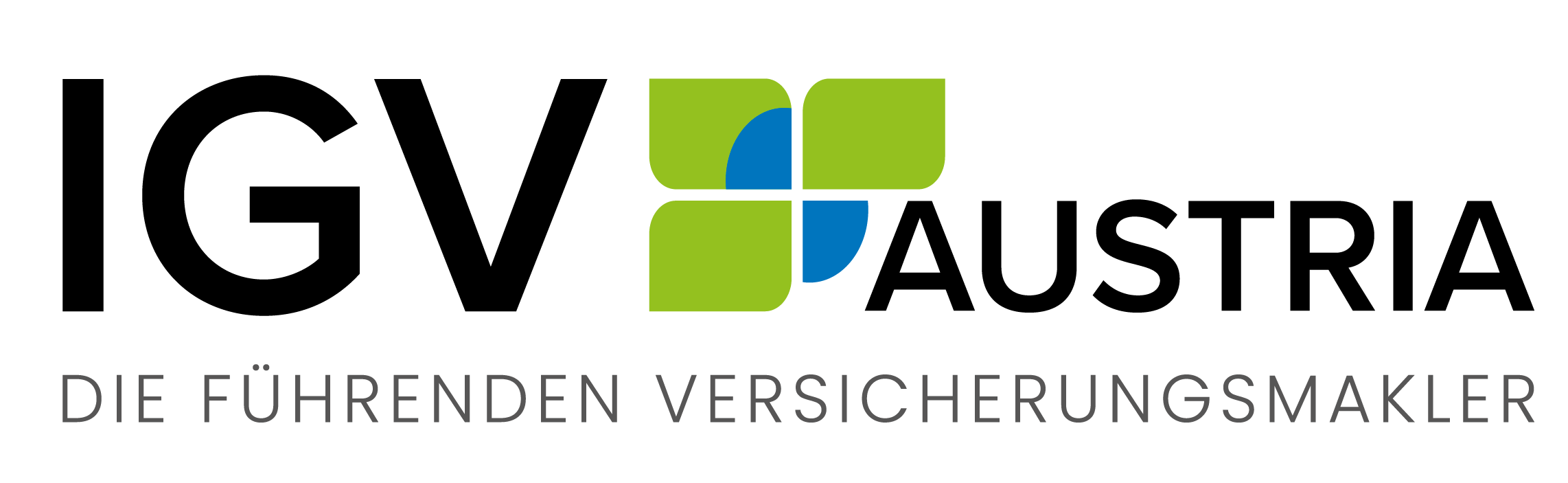 LOGO IGV